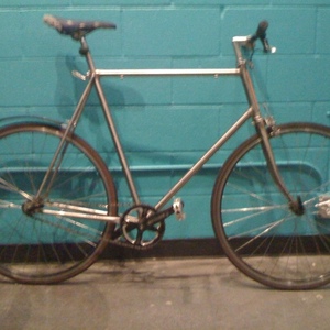 2014 Nishiki Sport  Silver or Gray