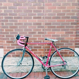 Fuji Sports 10  Pink