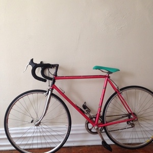 Fuji Sports 10  Pink