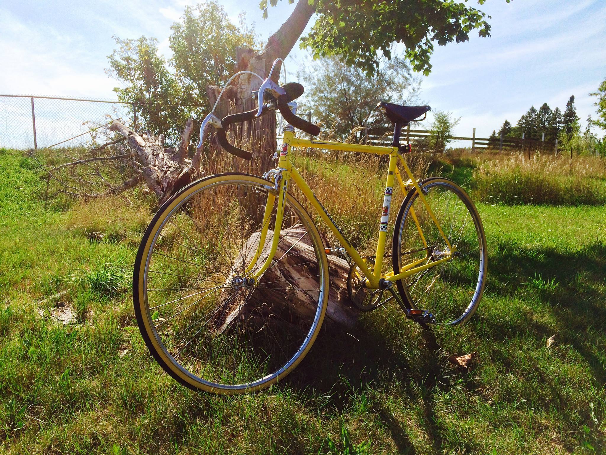 1972 Peugeot Record du Monde