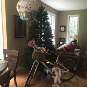 2018 Bianchi Cortina Dama White