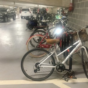 2018 Bianchi Cortina Dama White