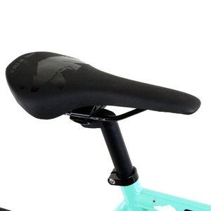 2017 Golden Cycles Striker fixie Teal