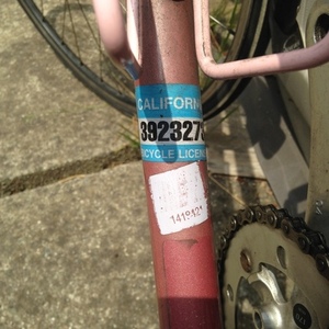 Raleigh Capri Road bike  Pink