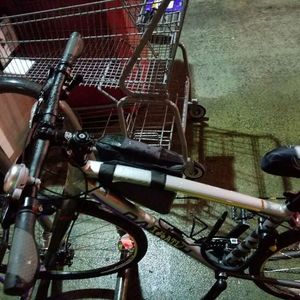 2015 Raleigh 15 CADENT-2 15 Silver or Gray