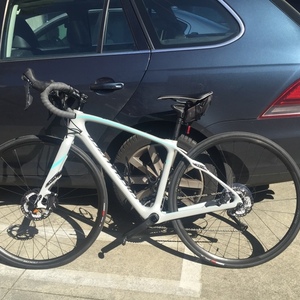 2018 Specialized Ruby Silver or Gray