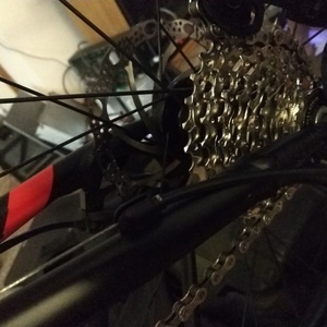 Specialized Diverge Black, Red, and Green
