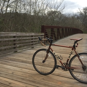 2011 Masi Speciale Brown