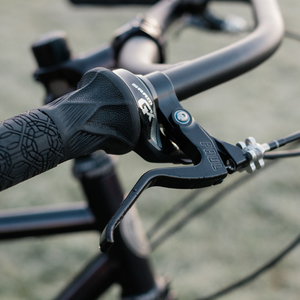 2017 Crust Evasion Purple