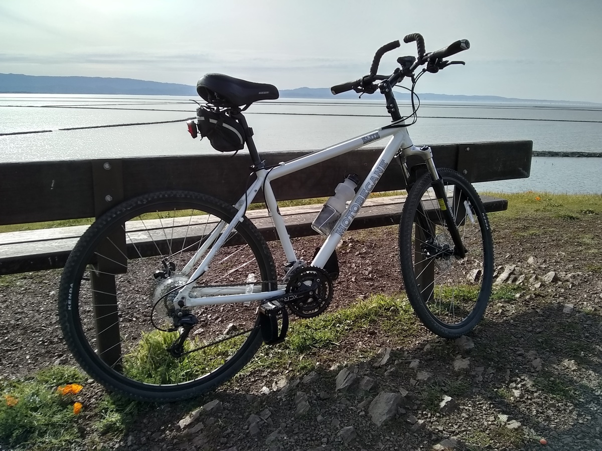 2019 motobecane elite sport