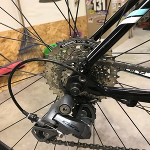 Specialized Dolce Sport Black