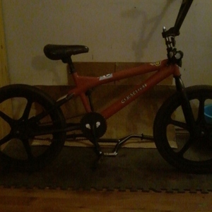 Other BMX Orange
