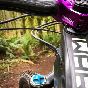 2016 Knolly Warden Carbon Black, Yellow or Gold, and Purple