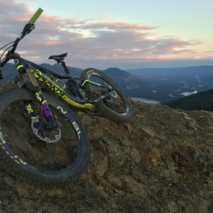 2016 Knolly Warden Carbon Black, Yellow or Gold, and Purple