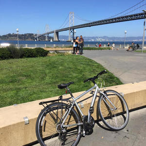 Trek 7.1 FX Silver or Gray