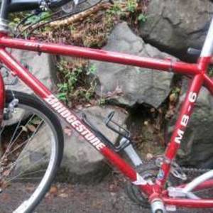 Bridgestone with Xtracycle conversion MB-6 Red
