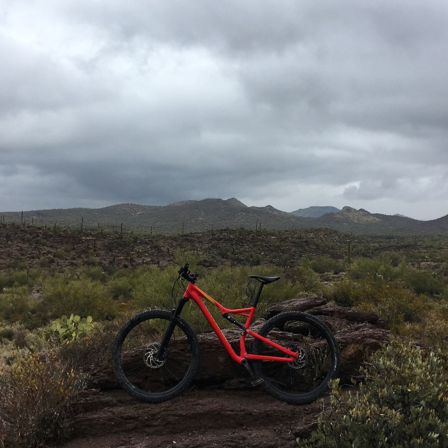 Bike photo