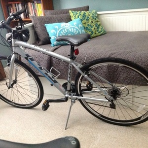 2013 Fuji Absolute 2.1  Silver or Gray