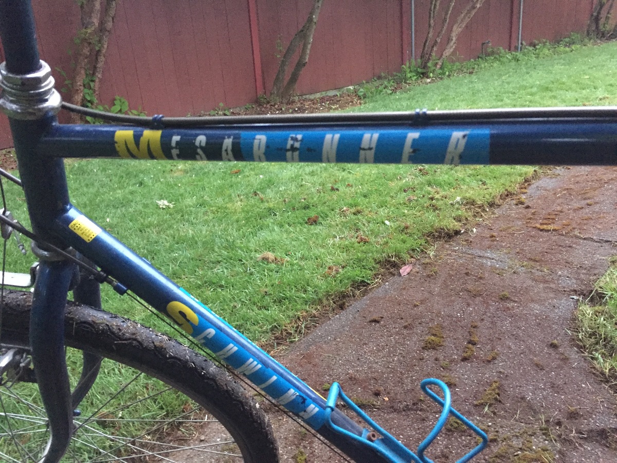 Schwinn Mesa Runner