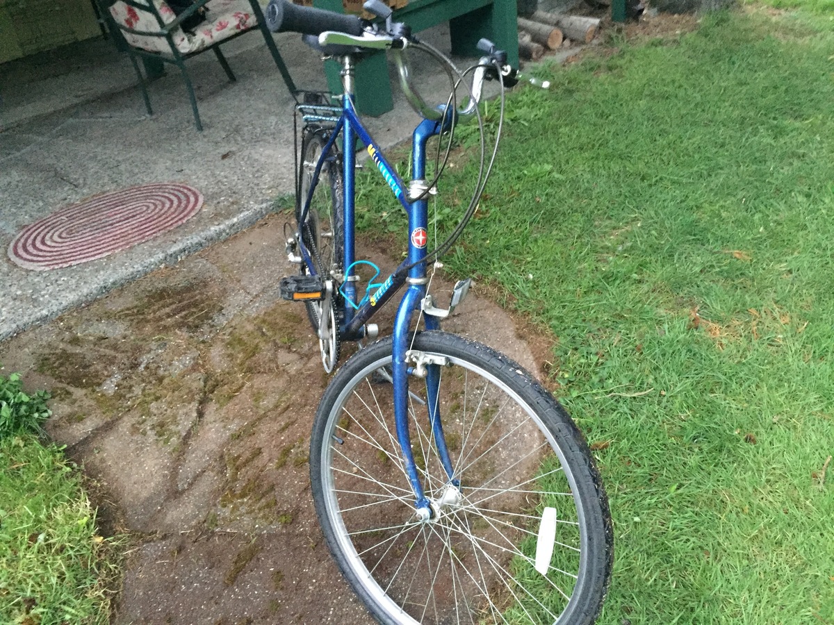 Schwinn Mesa Runner