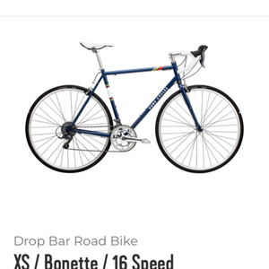2018 Pure Cycles Chromoly Frame Blue