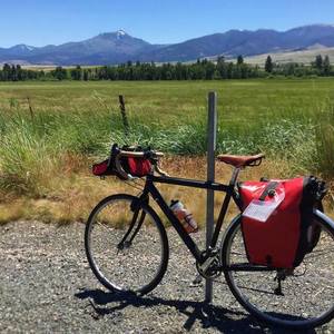 Cannondale Black