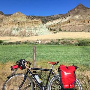 Cannondale Black
