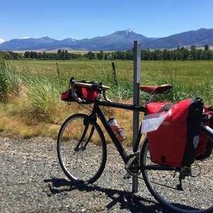 Cannondale Black
