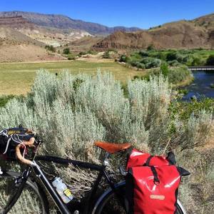Cannondale Black