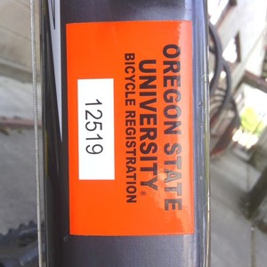 Marin Bikes  Silver or Gray