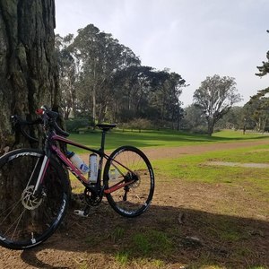 2016 Giant Avail Advanced 2 Black and Pink