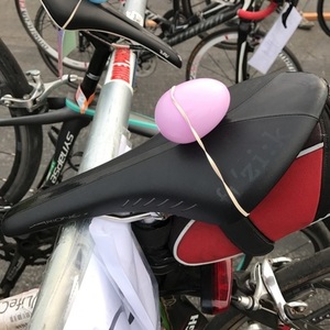2008 Raleigh Black and Red