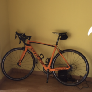 2016 Specialized Tarmac Orange