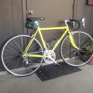 1981 Tommaso Unknown Yellow or Gold