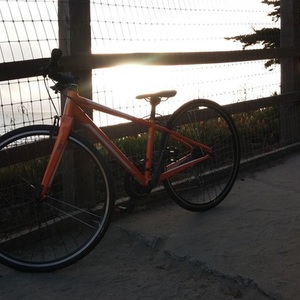 2014 Specialized Vita Elite Orange