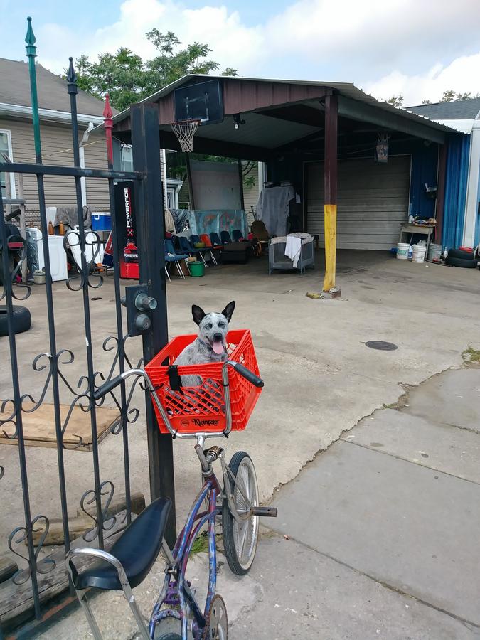 Bike photo