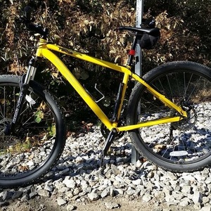 2014 Motobecane Yellow or Gold