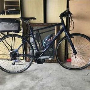 Trek 7.2 FX