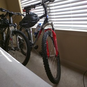 2004 Fuji Nevada Silver or Gray, Red, and Black