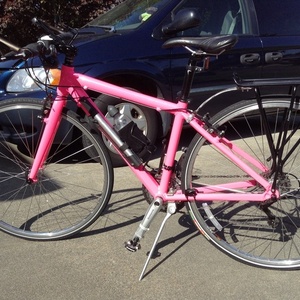 Raleigh  Pink