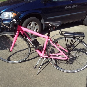 Raleigh  Pink