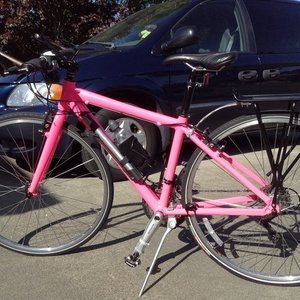 Raleigh  Pink