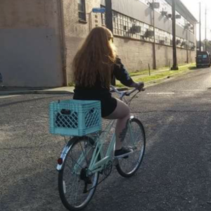 2018 Schwinn Retro city-style steel frame and fork Teal