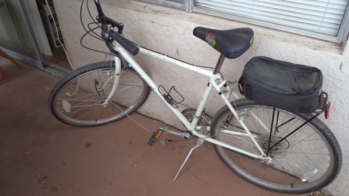 Cargo Bike Rear photo