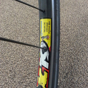 Diamondback Insight  Silver or Gray