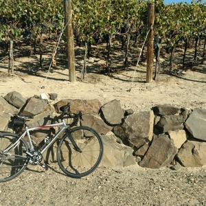 2013 Cannondale Synapse Women's 6 Tiagra Silver or Gray