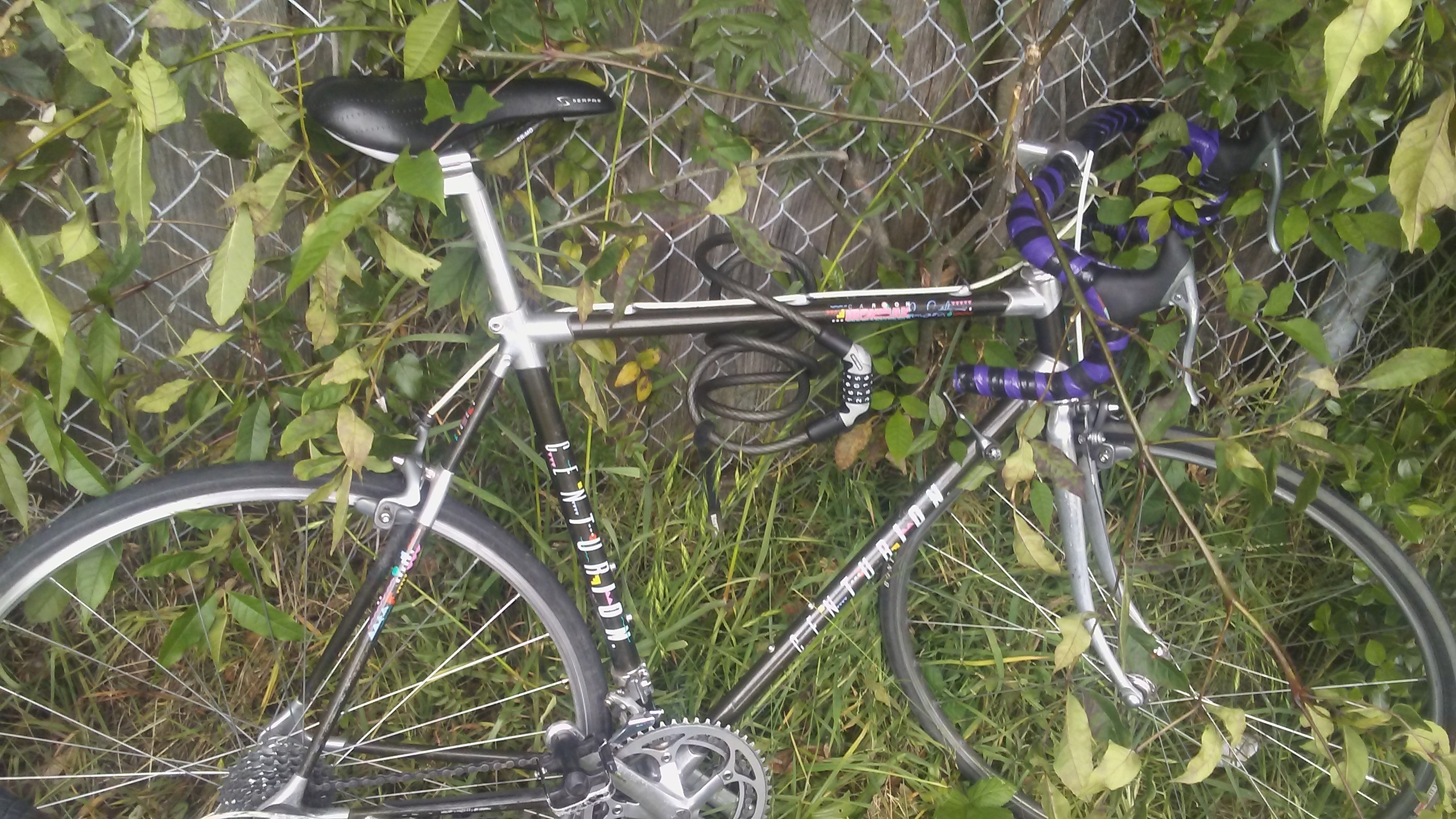 centurion dave scott ironman expert