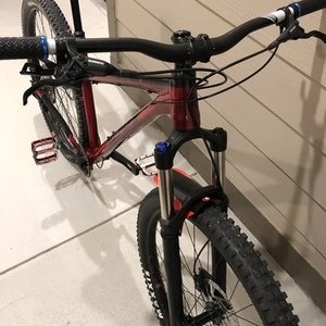 2018 Vitus Sentier 29” Red
