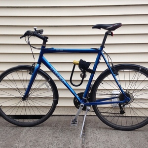 2007 Trek 7.3 FX  Blue