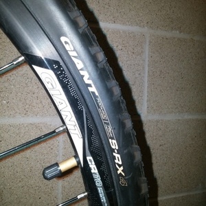 2015 Giant Roam Blue